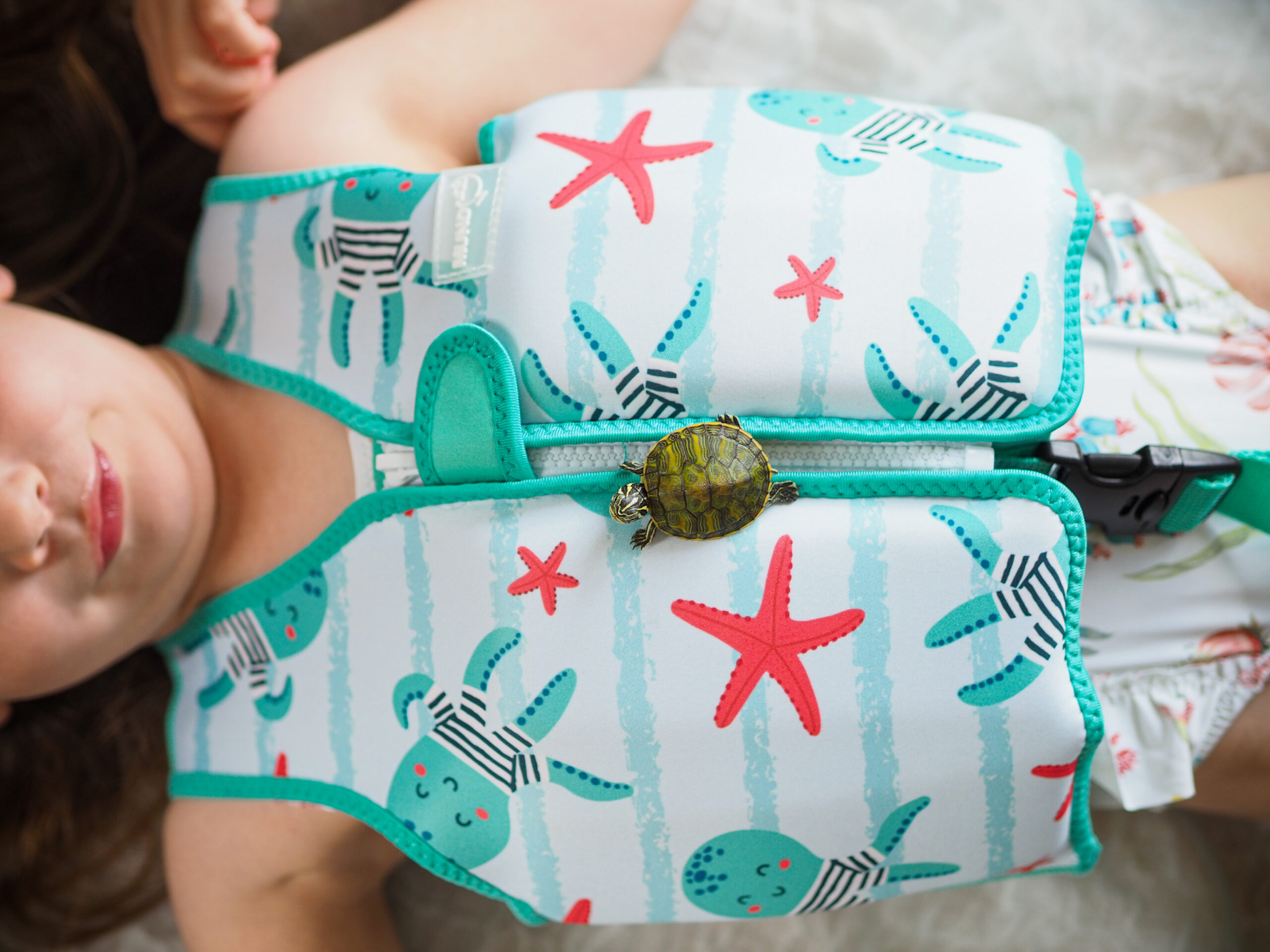 Proveedores sales articulos bebe